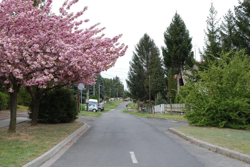 Antal Apartmanok Zalakaros Εξωτερικό φωτογραφία